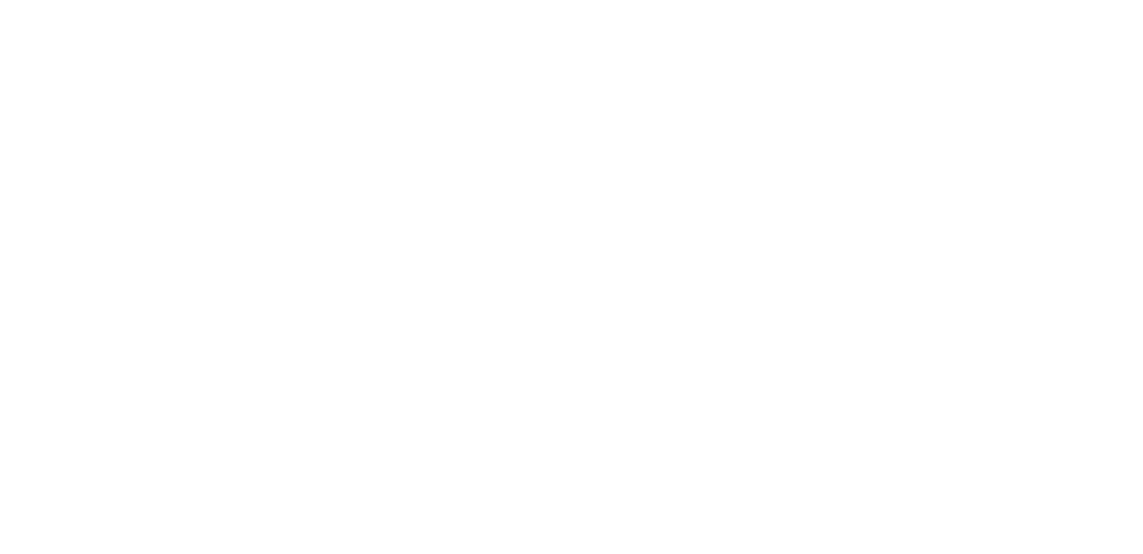 CRI Logo